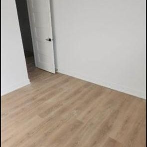 4 1/2 à louer à Saint Paul près de tous les services CADEAU DES PROPRIO!!! DERNIER MOIS DE LOYERS GRATUIT - Photo 4