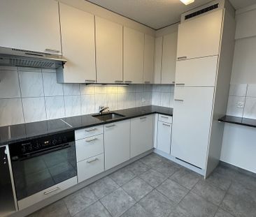 Moderne Wohnung nahe Irchel Park - Photo 4