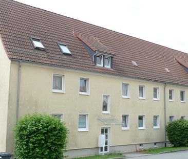 Rositz, Helle Zwei-Raum-EG-Wohnung (ME146) - Foto 4