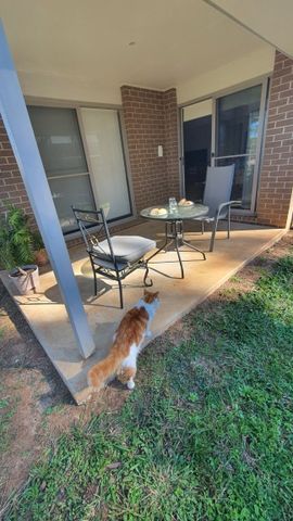 Port Macquarie - Photo 2