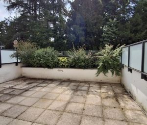 Location Appartement à RIVES - Photo 1