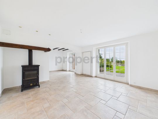 Maison familiale rénovée à Collex-Bossy Charme, confort et vue Mont-Blanc - Photo 1