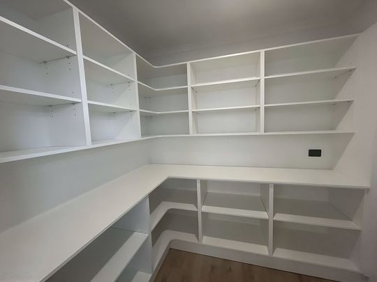 Huge Modern Luxury - Photo 1