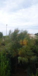 Location Appartement 1 pièce 34m² SAUSSET LES PINS 13960 - Photo 4