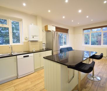 Room in a Shared Flat, Chiswick, W4 - Photo 3