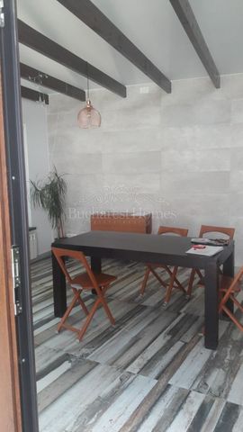 Four Bedroom House with Guest Cottage and Garden - Cotroceni - Fotografie 4