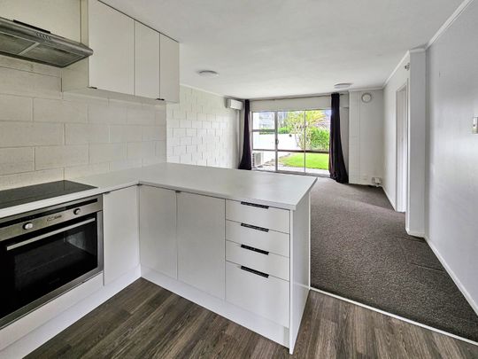 NEW LYNN - 2 Bedroom - Photo 1