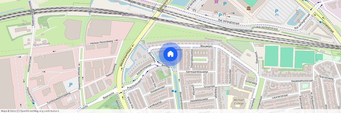 Blauwtjes, 26, Breda