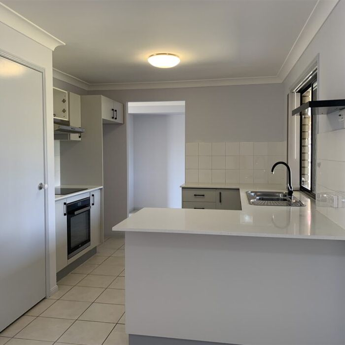 Very Comfortable & Renovated Low-set Family Home with Solar Panels - Photo 1