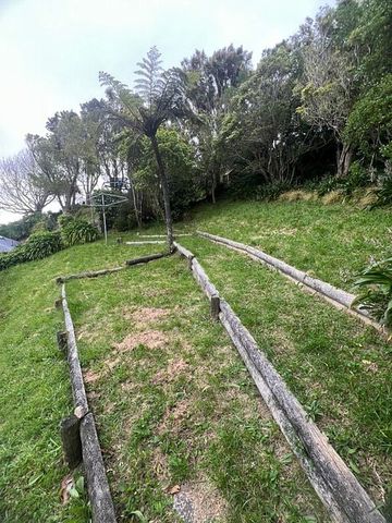 Beautiful Kelburn Flat - Photo 3