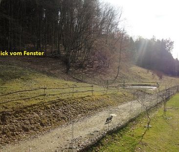 Gemütliche Wohnung in idyllischer Umgebung in Ruhelage - Foto 5