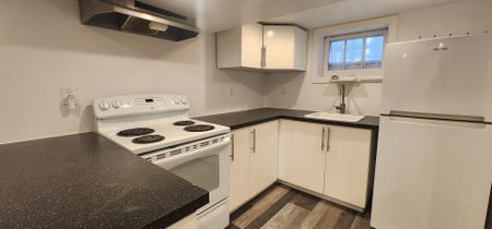 For Lease - 10 Hartley Avenue Unit# bsmt, Toronto, Ontario - Photo 4