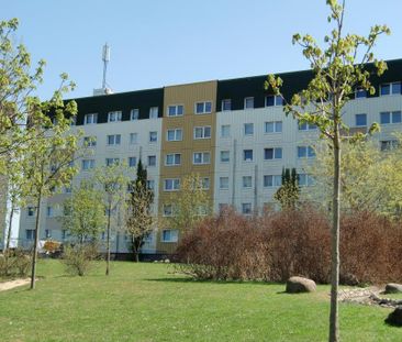 Großer Balkon zum Wohlfühlen - Photo 3