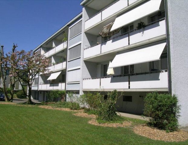 Single apartment is looking for you - Photo 1