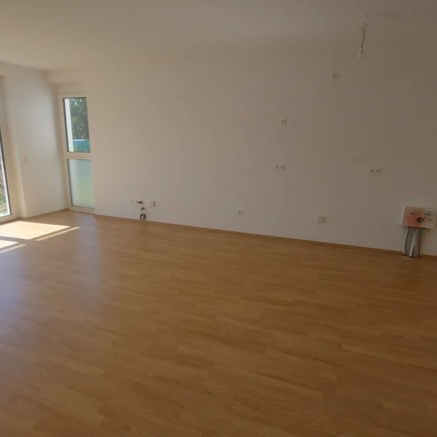 Geförderte Wohnung in Ruhelage - Photo 1