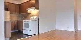 1 CH - 1 SDB - Montréal - $1,100 /mo - Photo 3