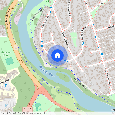 79 Jellicoe Drive, 3216, Hamilton East
