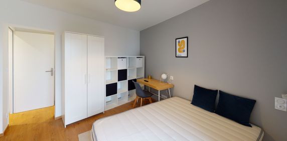 COLBERT G Roommate 3 Bedrooms at Toulouse - Photo 2