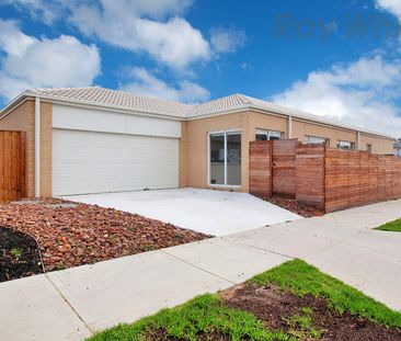 11 Red Box Street, Coburg North VIC 3058 - House For Rent | Domain - Photo 6
