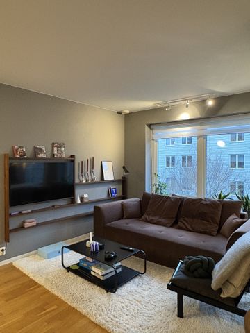 Södra Vägen, Lund - Photo 4