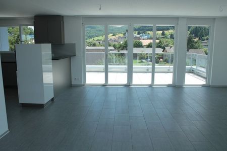 Schöne Attikawohnung in Zeiningen gesucht? - Photo 3