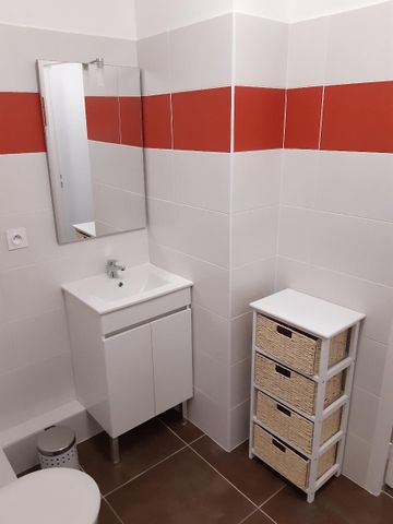 Location Appartement 1 pièce 27m² ALBI 81000 - Photo 4