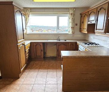 13 Grahamstown Park, Ballyclare, BT39 9RB - Photo 3