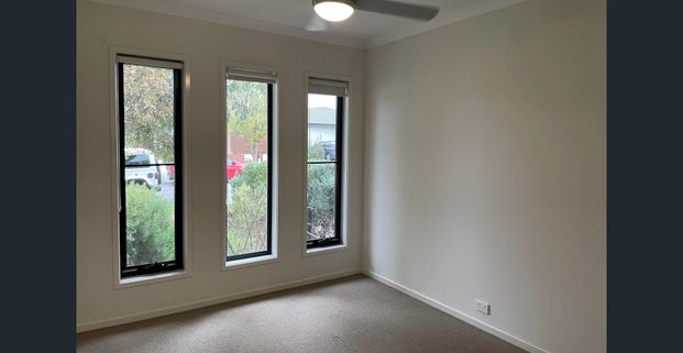 Neat as a pin! - Photo 1