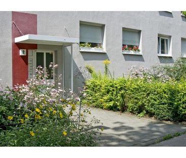 Hyazinthenstraße 14 - Am Tulpenbrunnen - Foto 4