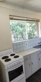 One Bedroom Unit - Walk To Parramatta CBD - Photo 3