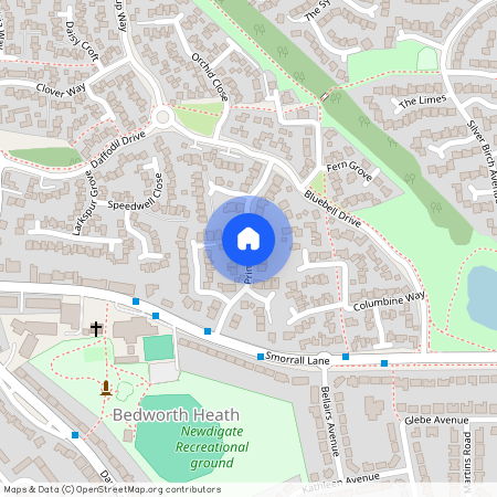 Primrose Drive, Bedworth