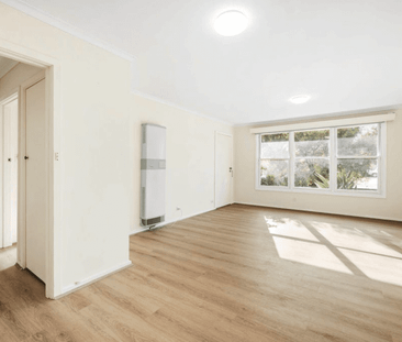 Moments from Main Street - Photo 3