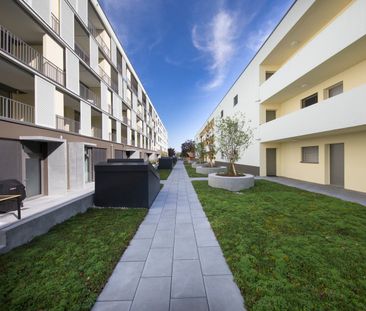 "Wohnen im HELLO Aarburg" - Photo 5