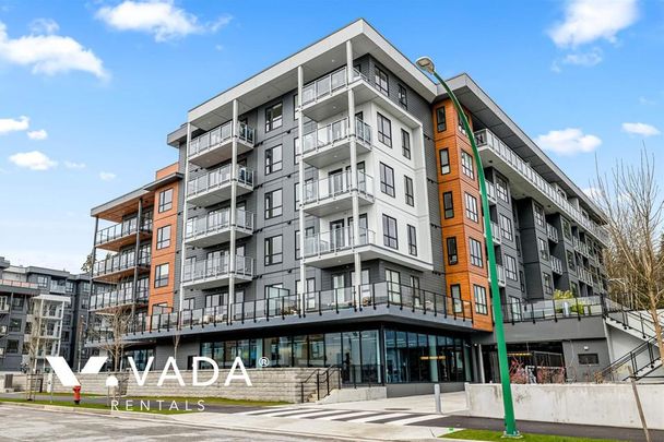 Unfurnished, Pet Friendly, 2 Bed 2 Bath Apartment For Rent - Photo 1