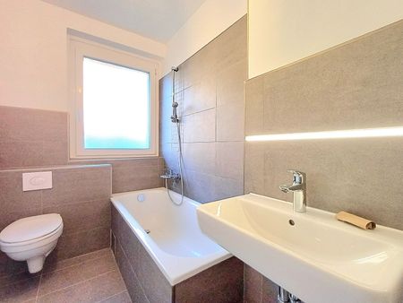 In den Leibnizgärten… - Photo 4