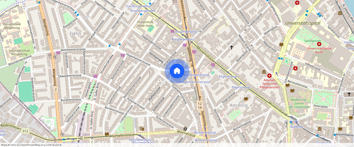 Hegenheimerstrasse **, 4055 Basel