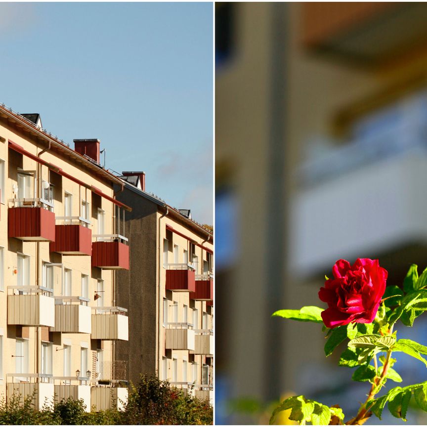 Älgstigen, Uddevalla - Photo 2
