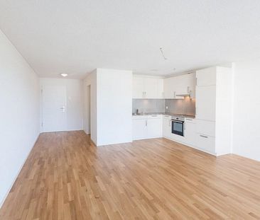 1½-Zimmerwohnung im Parterre mit Waschturm / 37,4 m2 - Photo 2