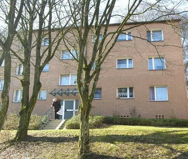 3 Zimmerwohnung mit Balkon am Vogelberg - Foto 3