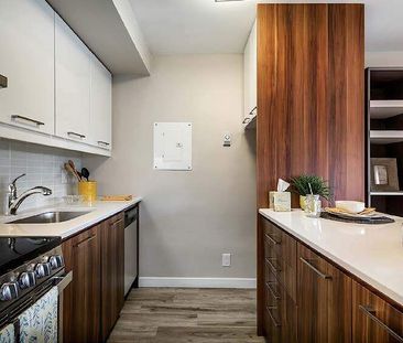 3655 Avenue Papineau, Montréal, QC - Photo 1