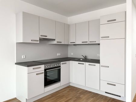 1-Zimmer Dachgeschosswohnung mit Terrasse im Felmayerpark | beziehbar ab 01.05.2026 - Foto 2