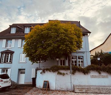 3.5 Zimmer, 76 m², 1. Stock - Photo 6