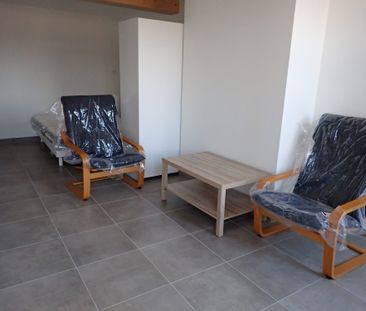 Location Appartement 1 pièce 27m² VIENNE 38200 - Photo 3