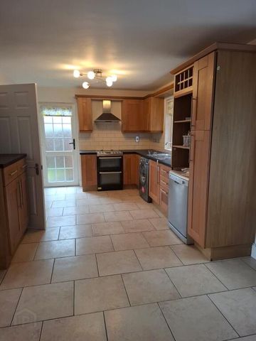 19 Parkwood Manor, Dungannon, BT71 6LR - Photo 5