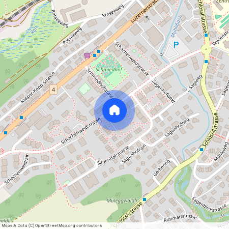 Schachenweidstrasse 47, 6030 Ebikon