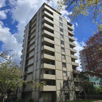 One Bedroom Apartment in West End - Photo 4