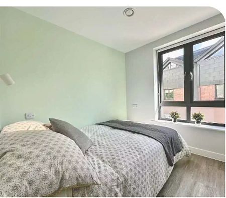 Premium Apartment - Photo 3