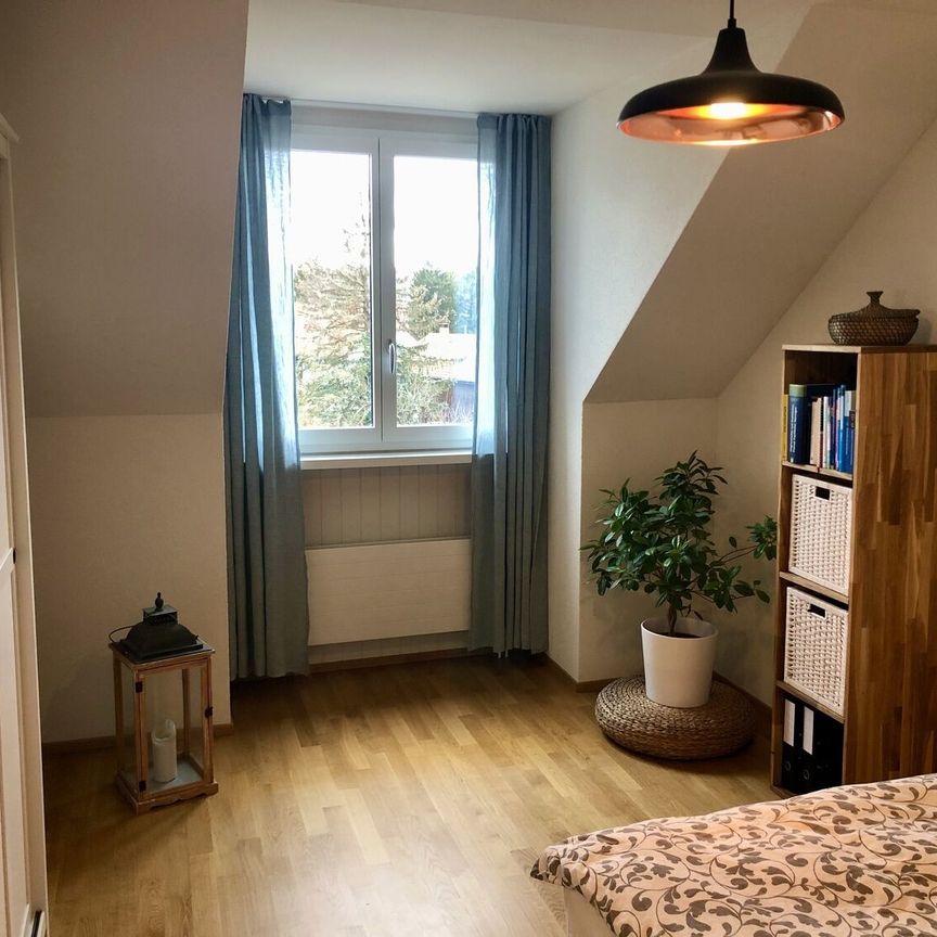 APPARTEMENT DE 2 PIÈCES À WINTERTHOUR, MEUBLÉ, TEMPORAIRE - Foto 1