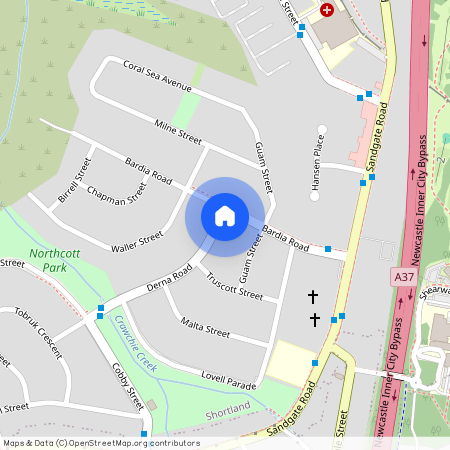 21 Bardia Road, NSW 2307, Shortland