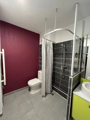 Location Appartement 1 pièce 22m² CASTELNAU LE LEZ 34170 - Photo 1